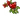 Mistletoe Gun
