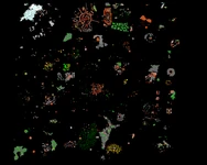 Minimap Floor 5