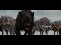 Uley Pack bd2