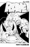 Cover 13