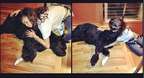 Zendaya-coleman-with-doggy