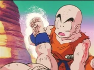 Dbz33-24