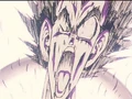 Dbz34-17