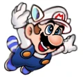 Raccoon Mario YF97