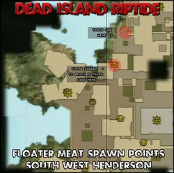 DIR FloaterMeat
