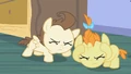 Pound & Pumpkin Cake is it over S2E13.png