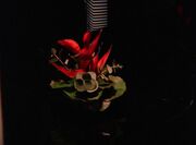 Blume statt Tee