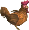Cocotte brune TP