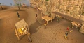 Sophanem Market.png