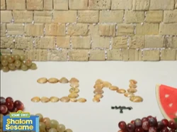 Shalom12-Month