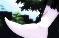 14Menos kicks Ichigo