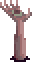 Meda
