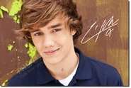 Liam-Payne-random-31327723-764-512