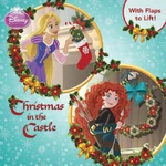 Disney-Princess-Books-with-Merida-disney-princess-34420065-499-500