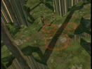 Just in Time Pulsation in the Forest Sector image 1
