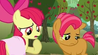 Apple Bloom 'Guess what we're tryin' to say is' S3E04