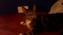 Maggie2
