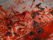 Blood-32