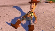 Woody 003