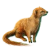 Item yellowmongoose 01