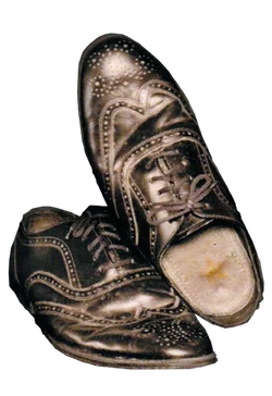 Richard Nixson's Shoes.