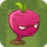 Beet2