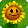SunflowerA