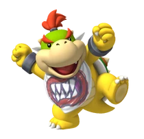 Bowserjr MP9