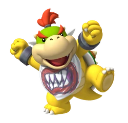Bowserjr MP9