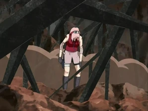 NSFolge024