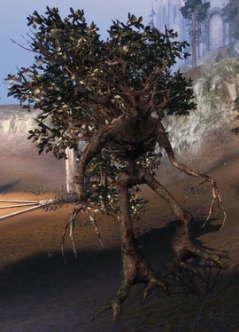 Ancient sylvan
