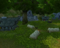 Kurzen's Compound