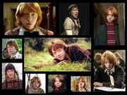 Images (14)