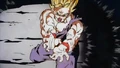Dbzm10-095