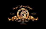 Mgm 2008