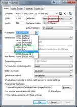 Vegas project properties