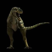 Nanotyrannus