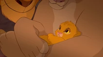 Infant Simba