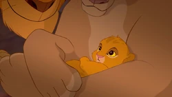 Infant Simba