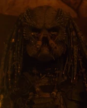 Greyback