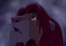 Simba About To Reclaim Pride Lands