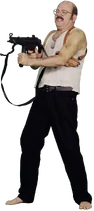 Insertmeanywhere.biz - Trigger Man large