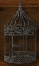 Angry Birdcage
