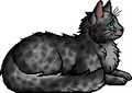 Dapplenose.elder