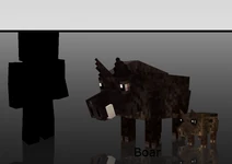 Mo Creatures Boars