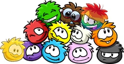Puffles Postcard