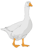 Goose clipart 01