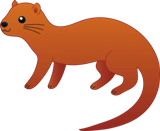 Otter
