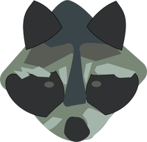 Raccoon