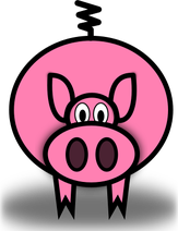 Pig